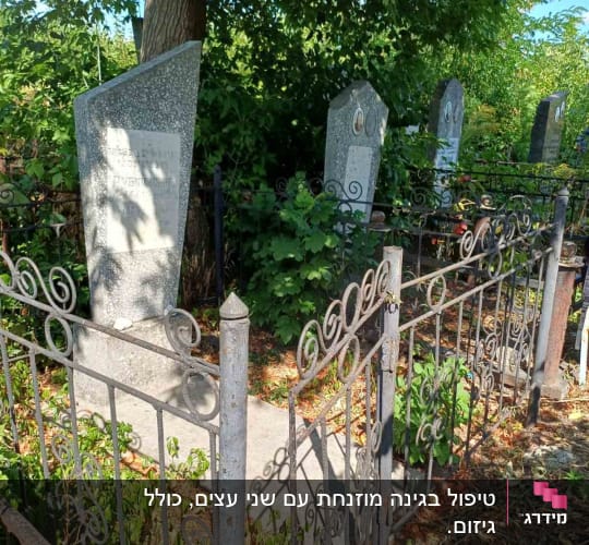 מצבות קבר בבית עלמין מוקפות בגדר מתכת וצמחייה ירוקה